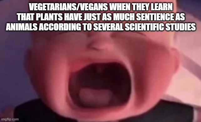 boss baby crying | VEGETARIANS/VEGANS WHEN THEY LEARN THAT PLANTS HAVE JUST AS MUCH SENTIENCE AS ANIMALS ACCORDING TO SEVERAL SCIENTIFIC STUDIES | image tagged in boss baby crying | made w/ Imgflip meme maker
