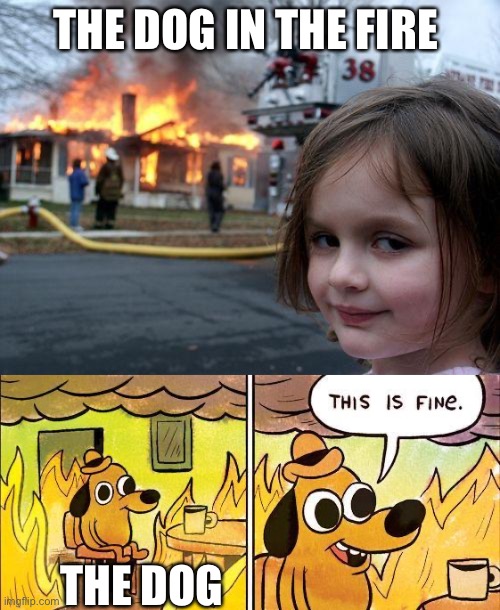 THE DOG IN THE FIRE; THE DOG | image tagged in memes,disaster girl | made w/ Imgflip meme maker