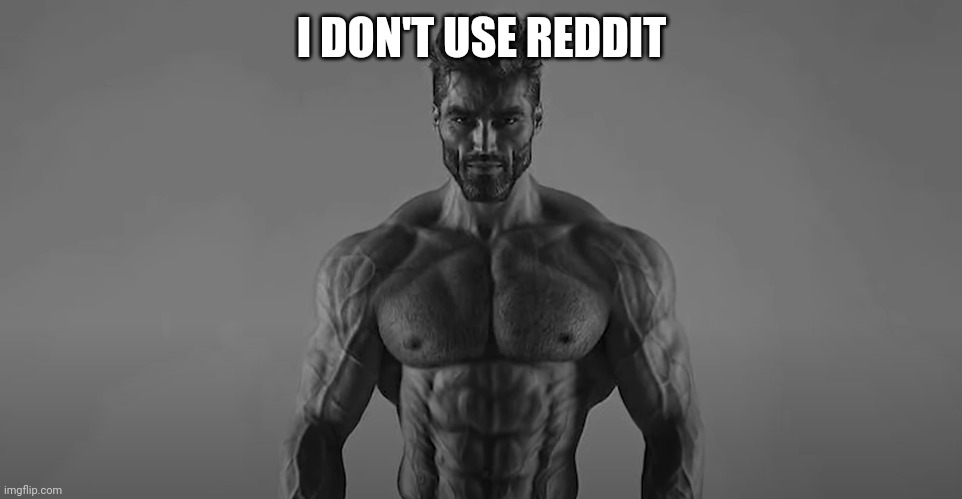 MEGA CHAD | I DON'T USE REDDIT | image tagged in mega chad | made w/ Imgflip meme maker