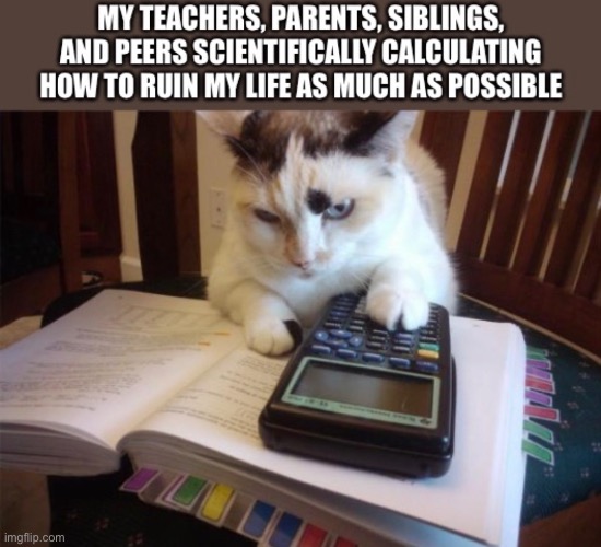 image tagged in fun,imgflip,math cat | made w/ Imgflip meme maker