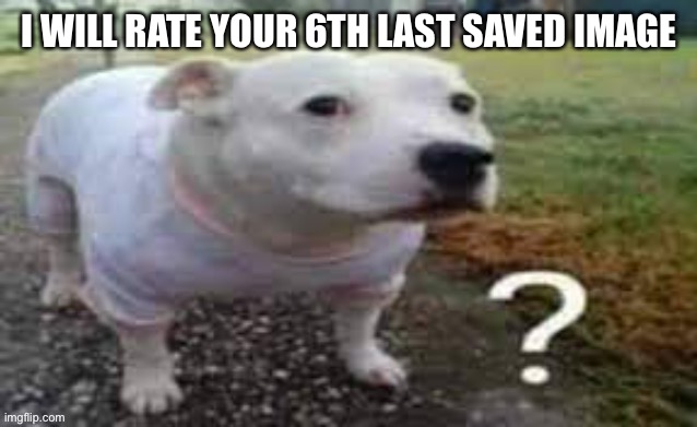Dog question mark | I WILL RATE YOUR 6TH LAST SAVED IMAGE | image tagged in dog question mark | made w/ Imgflip meme maker