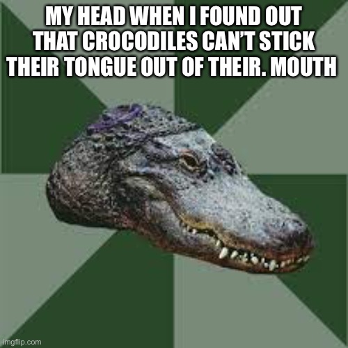 MY HEAD WHEN I FOUND OUT THAT CROCODILES CAN’T STICK THEIR TONGUE OUT OF THEIR. MOUTH | made w/ Imgflip meme maker