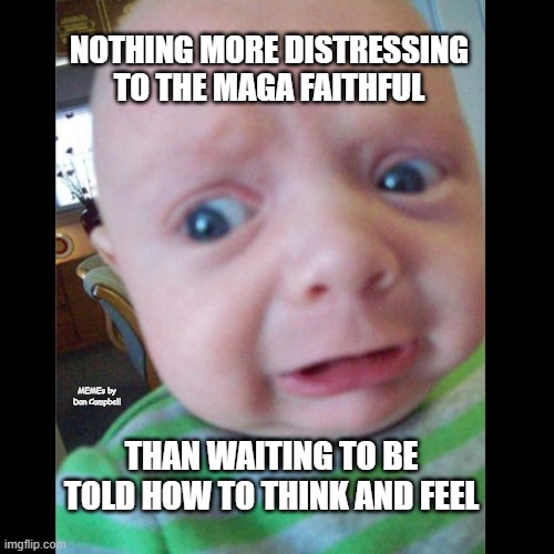 Terrified of Reality Baby | NOTHING MORE DISTRESSING TO THE MAGA FAITHFUL; MEMEs by Dan Campbell; THAN WAITING TO BE TOLD HOW TO THINK AND FEEL | image tagged in terrified of reality baby | made w/ Imgflip meme maker
