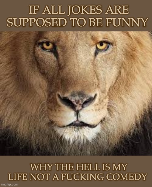 IF ALL JOKES ARE SUPPOSED TO BE FUNNY; WHY THE HELL IS MY LIFE NOT A FUCKING COMEDY | made w/ Imgflip meme maker