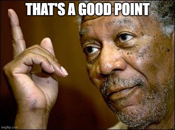 This Morgan Freeman | THAT'S A GOOD POINT | image tagged in this morgan freeman | made w/ Imgflip meme maker