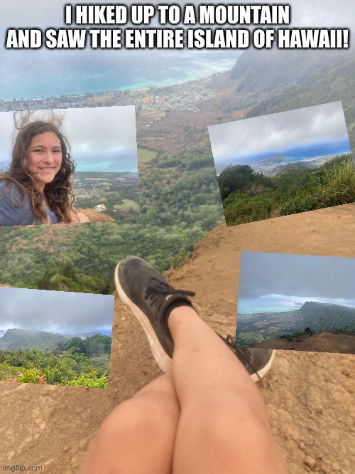 It was INCREDIBLE at the top! | I HIKED UP TO A MOUNTAIN AND SAW THE ENTIRE ISLAND OF HAWAII! | made w/ Imgflip meme maker