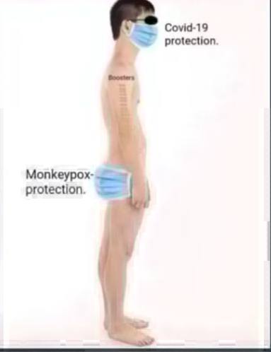 High Quality Monkey pox protection Blank Meme Template