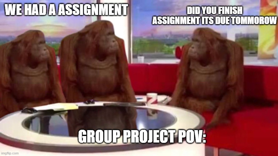 welcome to school | DID YOU FINISH ASSIGNMENT ITS DUE TOMMOROW; WE HAD A ASSIGNMENT; GROUP PROJECT POV: | image tagged in orangutan interview | made w/ Imgflip meme maker