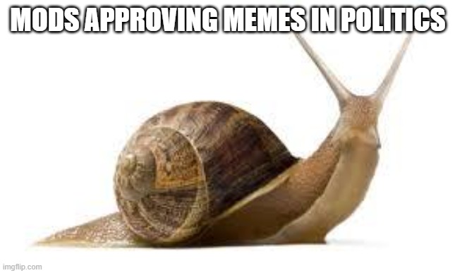 SNAIL | MODS APPROVING MEMES IN POLITICS | image tagged in snail | made w/ Imgflip meme maker