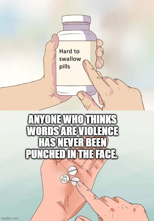 Trigger Warning | ANYONE WHO THINKS WORDS ARE VIOLENCE HAS NEVER BEEN PUNCHED IN THE FACE. | image tagged in memes,hard to swallow pills,violence,free speech,tolerance,get over it | made w/ Imgflip meme maker