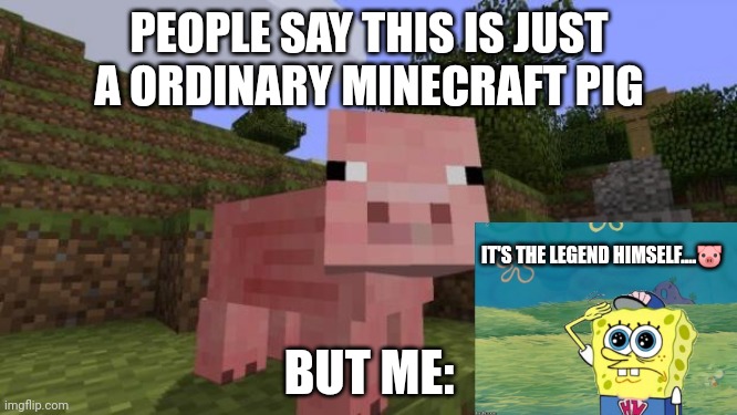 Technoblade fans keep your crowns on for the Legend | PEOPLE SAY THIS IS JUST A ORDINARY MINECRAFT PIG; IT'S THE LEGEND HIMSELF....🐷; BUT ME: | image tagged in minecraft pig | made w/ Imgflip meme maker