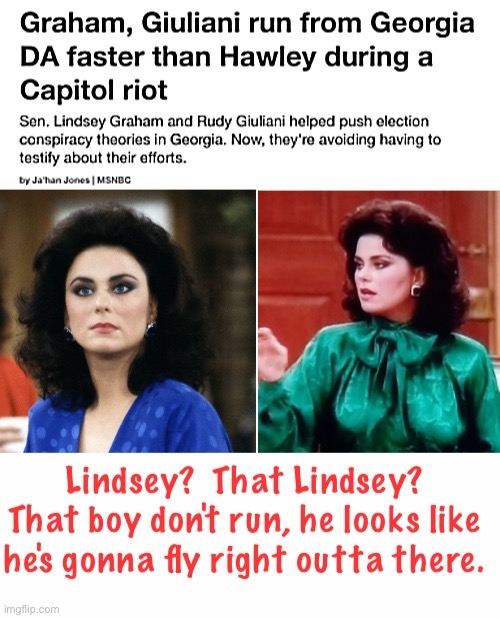 Gadfly Graham | image tagged in conservative hypocrisy | made w/ Imgflip meme maker