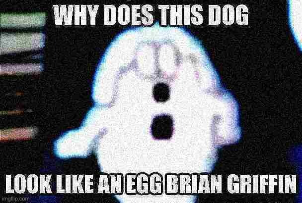 egg | image tagged in memes,funny,brian griffin,egg,family guy,stop reading the tags | made w/ Imgflip meme maker