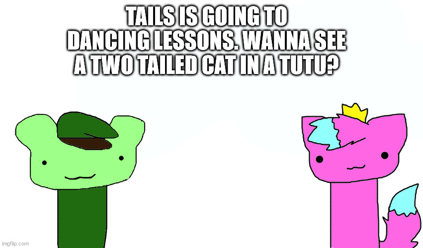 idk | TAILS IS GOING TO DANCING LESSONS. WANNA SEE A TWO TAILED CAT IN A TUTU? | image tagged in htf | made w/ Imgflip meme maker