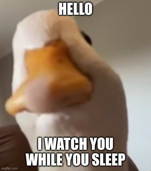 my first template- | HELLO; I WATCH YOU WHILE YOU SLEEP | image tagged in hello duck | made w/ Imgflip meme maker