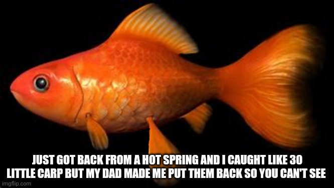 JUST GOT BACK FROM A HOT SPRING AND I CAUGHT LIKE 30 LITTLE CARP BUT MY DAD MADE ME PUT THEM BACK SO YOU CAN'T SEE | made w/ Imgflip meme maker