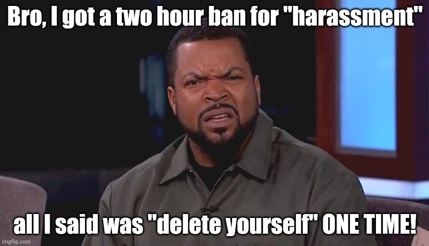Istfg | Bro, I got a two hour ban for "harassment"; all I said was "delete yourself" ONE TIME! | image tagged in really ice cube | made w/ Imgflip meme maker