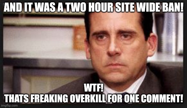 irritated | AND IT WAS A TWO HOUR SITE WIDE BAN! WTF!
THATS FREAKING OVERKILL FOR ONE COMMENT! | image tagged in irritated | made w/ Imgflip meme maker