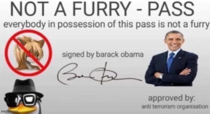 I AM NOT A FURRY | image tagged in anti furry | made w/ Imgflip meme maker