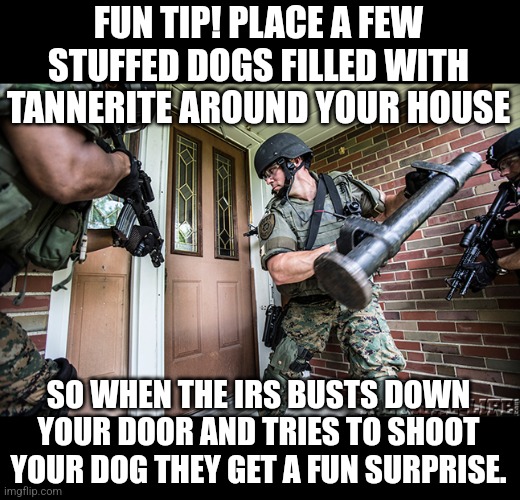 FUN TIP! PLACE A FEW STUFFED DOGS FILLED WITH TANNERITE AROUND YOUR HOUSE; SO WHEN THE IRS BUSTS DOWN YOUR DOOR AND TRIES TO SHOOT YOUR DOG THEY GET A FUN SURPRISE. | made w/ Imgflip meme maker