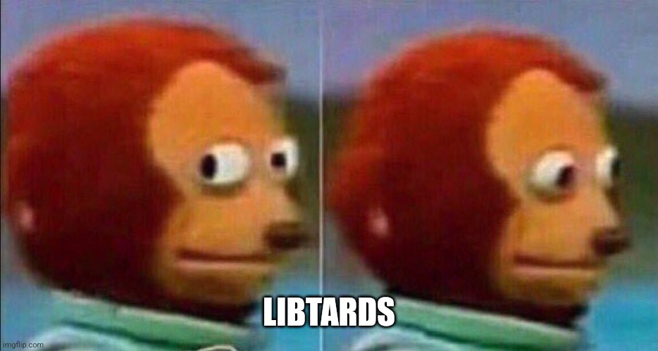 Monkey looking away | LIBTARDS | image tagged in monkey looking away | made w/ Imgflip meme maker