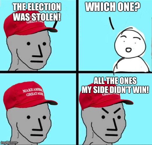 MAGA NPC (AN AN0NYM0US TEMPLATE) | WHICH ONE? THE ELECTION WAS STOLEN! ALL THE ONES MY SIDE DIDN'T WIN! | image tagged in maga npc an an0nym0us template | made w/ Imgflip meme maker