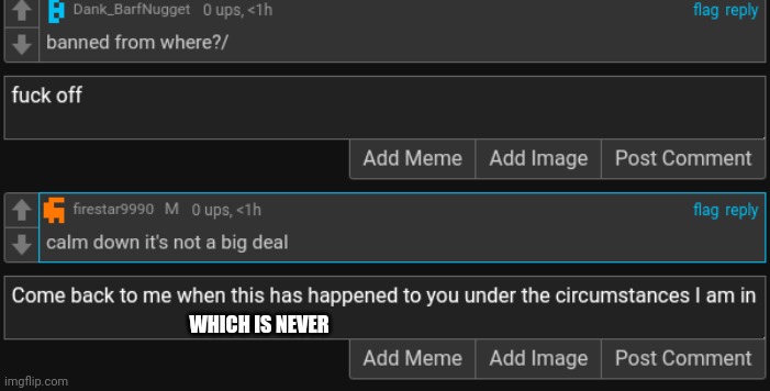WHICH IS NEVER | made w/ Imgflip meme maker