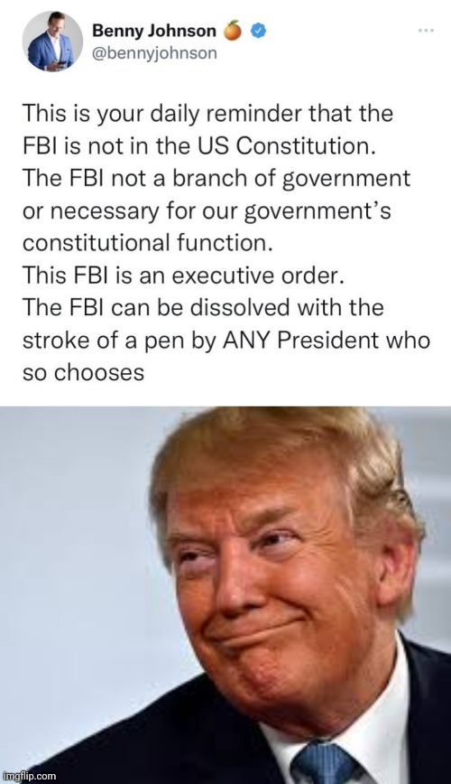 Any President who so Chooses | image tagged in donald trump,fbi,constitution | made w/ Imgflip meme maker