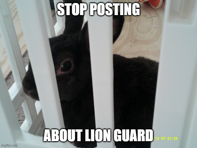 Used in comment | STOP POSTING ABOUT LION GUARD | image tagged in coconut | made w/ Imgflip meme maker