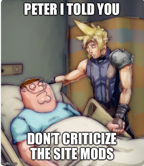 PETER I TOLD YOU | PETER I TOLD YOU; DON’T CRITICIZE THE SITE MODS | image tagged in peter i told you | made w/ Imgflip meme maker