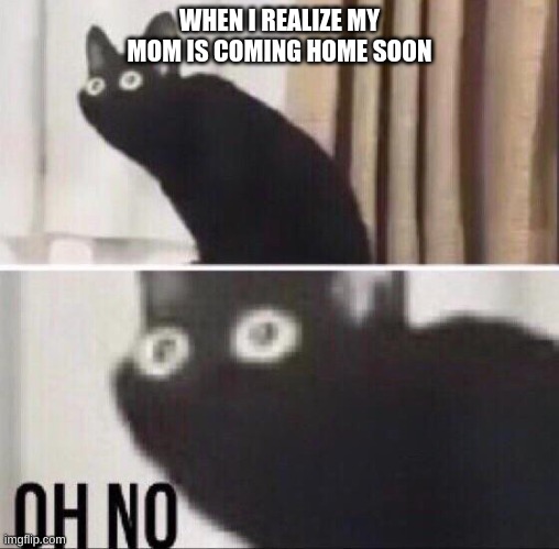 O H N O | WHEN I REALIZE MY MOM IS COMING HOME SOON | image tagged in oh no cat | made w/ Imgflip meme maker