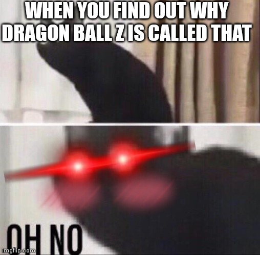 This is kinda SUS is it? | WHEN YOU FIND OUT WHY DRAGON BALL Z IS CALLED THAT | image tagged in oh no cat,dragon ball z | made w/ Imgflip meme maker