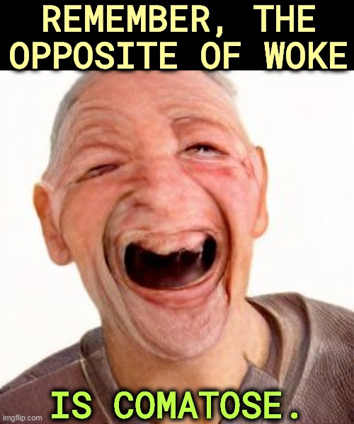 REMEMBER, THE OPPOSITE OF WOKE; IS COMATOSE. | image tagged in woke,opposite,coma | made w/ Imgflip meme maker
