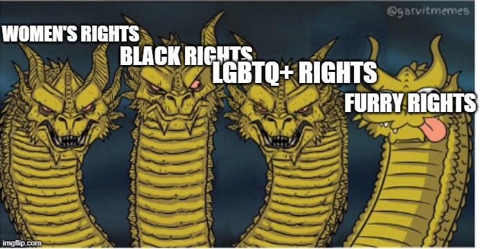 Rights | WOMEN'S RIGHTS; BLACK RIGHTS; LGBTQ+ RIGHTS; FURRY RIGHTS | image tagged in four headed dragon | made w/ Imgflip meme maker