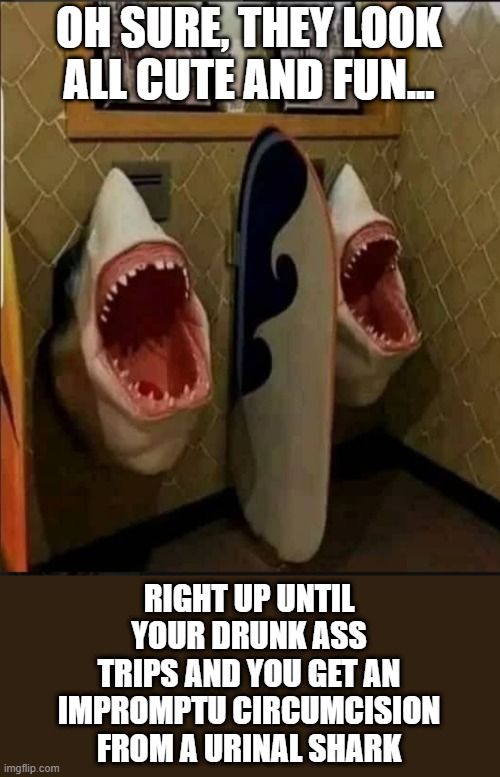 OH SURE, THEY LOOK ALL CUTE AND FUN... RIGHT UP UNTIL YOUR DRUNK ASS TRIPS AND YOU GET AN IMPROMPTU CIRCUMCISION FROM A URINAL SHARK | image tagged in shark,urinal,barr | made w/ Imgflip meme maker