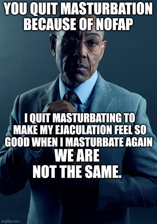 Gus Fring we are not the same | YOU QUIT MASTURBATION BECAUSE OF NOFAP; I QUIT MASTURBATING TO MAKE MY EJACULATION FEEL SO GOOD WHEN I MASTURBATE AGAIN; WE ARE NOT THE SAME. | image tagged in gus fring we are not the same | made w/ Imgflip meme maker