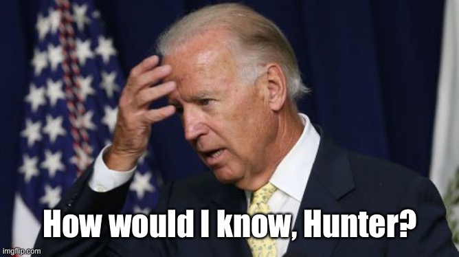 Joe Biden worries | How would I know, Hunter? | image tagged in joe biden worries | made w/ Imgflip meme maker