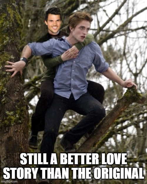 twilight | STILL A BETTER LOVE STORY THAN THE ORIGINAL | image tagged in twilight | made w/ Imgflip meme maker