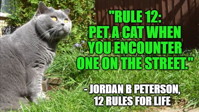 pet a cat, touch some grass | "RULE 12:
PET A CAT WHEN YOU ENCOUNTER ONE ON THE STREET."; - JORDAN B PETERSON, 12 RULES FOR LIFE | image tagged in 12 rules,jordan peterson,cats,cat | made w/ Imgflip meme maker