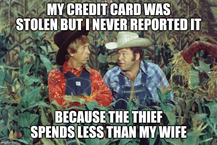 Hee Haw | MY CREDIT CARD WAS STOLEN BUT I NEVER REPORTED IT; BECAUSE THE THIEF SPENDS LESS THAN MY WIFE | image tagged in credit card | made w/ Imgflip meme maker