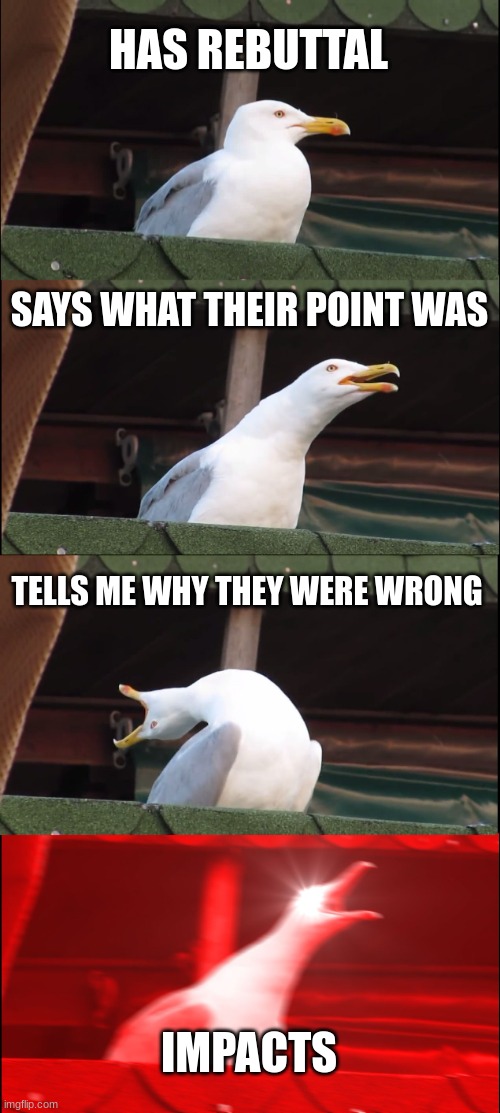 debaters will get this |  HAS REBUTTAL; SAYS WHAT THEIR POINT WAS; TELLS ME WHY THEY WERE WRONG; IMPACTS | image tagged in memes,inhaling seagull | made w/ Imgflip meme maker