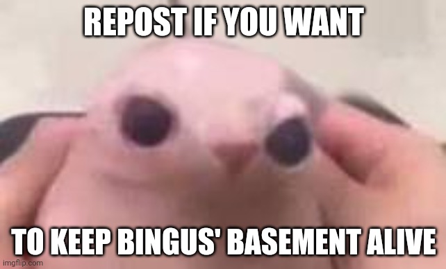 REPOST IF YOU WANT; TO KEEP BINGUS' BASEMENT ALIVE | made w/ Imgflip meme maker