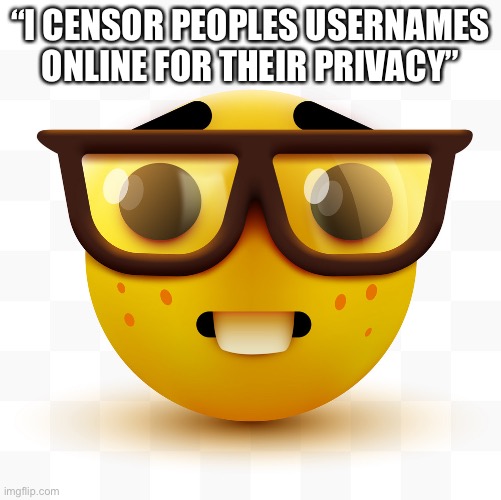 There’s no point in censoring usernames | “I CENSOR PEOPLES USERNAMES ONLINE FOR THEIR PRIVACY” | image tagged in nerd emoji | made w/ Imgflip meme maker