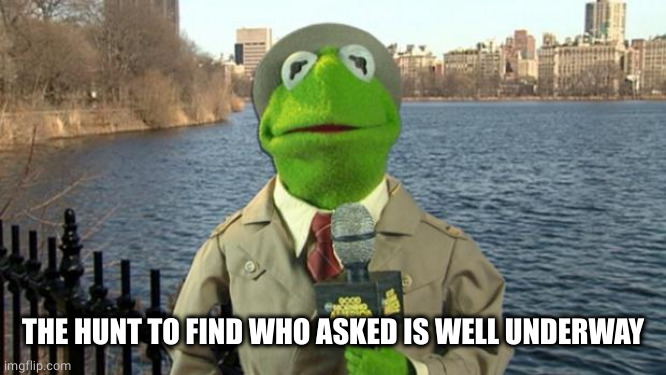 Kermit News Report | THE HUNT TO FIND WHO ASKED IS WELL UNDERWAY | image tagged in kermit news report | made w/ Imgflip meme maker