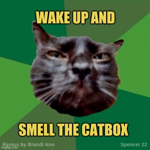 Remus | WAKE UP AND SMELL THE CATBOX | image tagged in remus | made w/ Imgflip meme maker