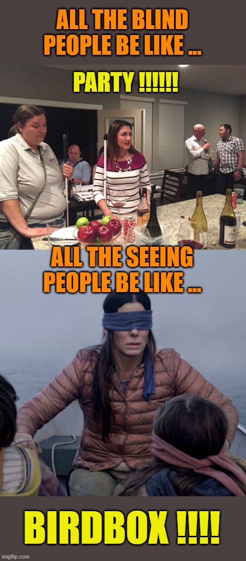 ALL THE BLIND PEOPLE BE LIKE ... PARTY !!!!!! ALL THE SEEING PEOPLE BE LIKE ... BIRDBOX !!!! | image tagged in memes,bird box | made w/ Imgflip meme maker