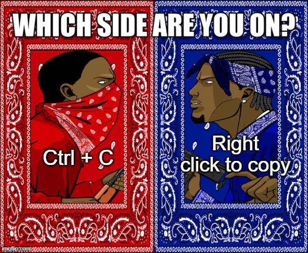 WHICH SIDE ARE YOU ON? | Ctrl + C; Right click to copy | image tagged in which side are you on | made w/ Imgflip meme maker