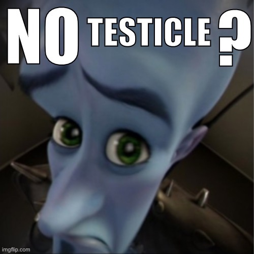 TESTICLE | image tagged in no bitches blank | made w/ Imgflip meme maker