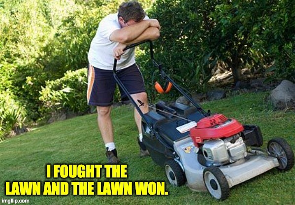 Lawn | image tagged in lawn | made w/ Imgflip meme maker