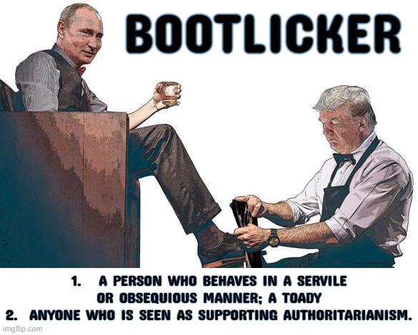 BOOTLICKER | BOOTLICKER; 1.   A PERSON WHO BEHAVES IN A SERVILE OR OBSEQUIOUS MANNER; A TOADY
2.  ANYONE WHO IS SEEN AS SUPPORTING AUTHORITARIANISM. | image tagged in bootlicker,authoritarian,toady,bitch,punk,butt kisser | made w/ Imgflip meme maker